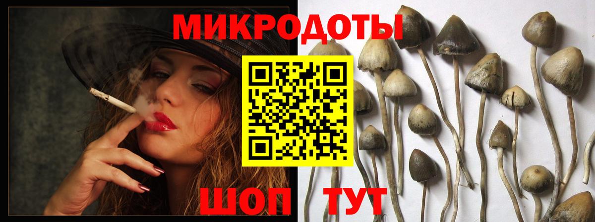 Галлюциногенные грибы мухоморы  закладки  Орехово-Зуево  Вход с VPN 