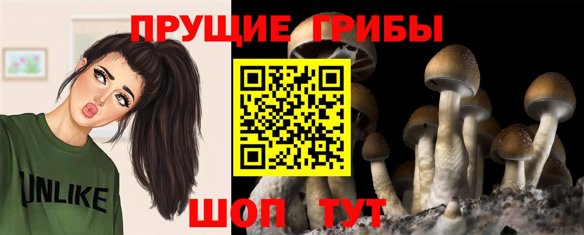 Галлюциногенные грибы прущие грибы Орехово-Зуево